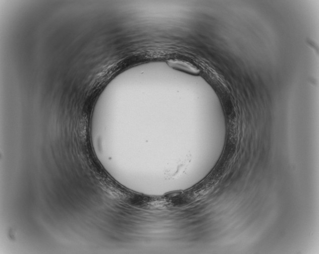 X0000094780505200712071208