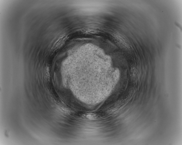 X0000094780506200712071208