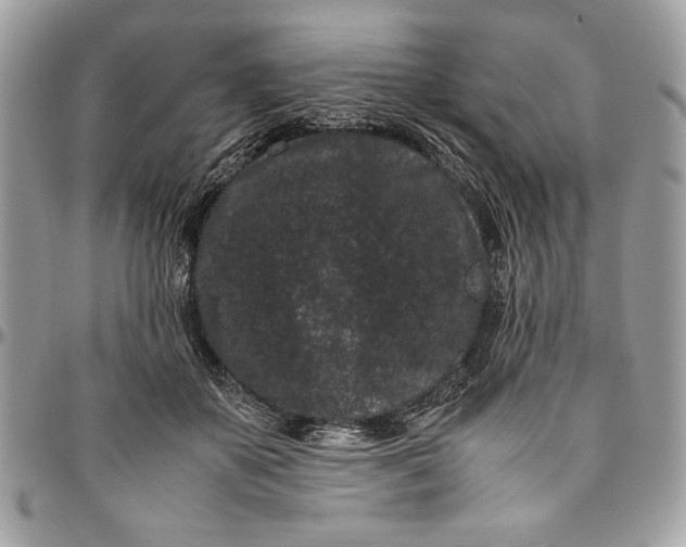 X0000094780507200712071208