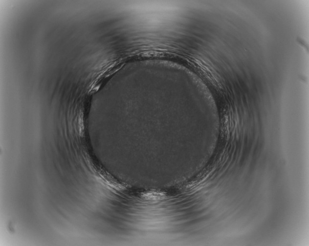 X0000094780508200712071208