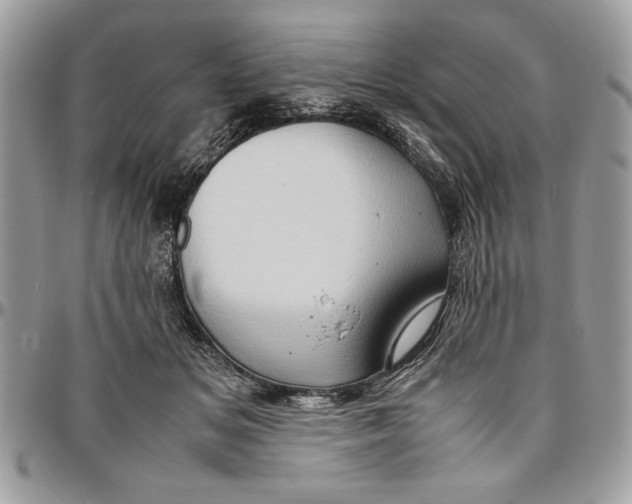 X0000094780509200712071208