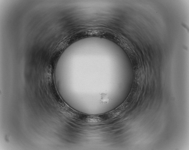 X0000094780510200712071208