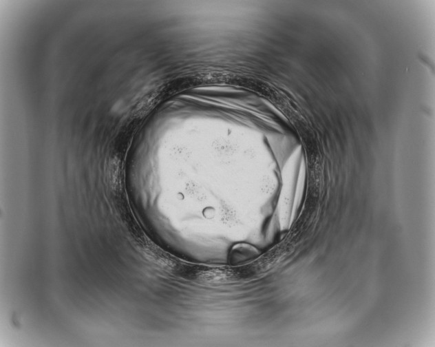 X0000094780511200712071208