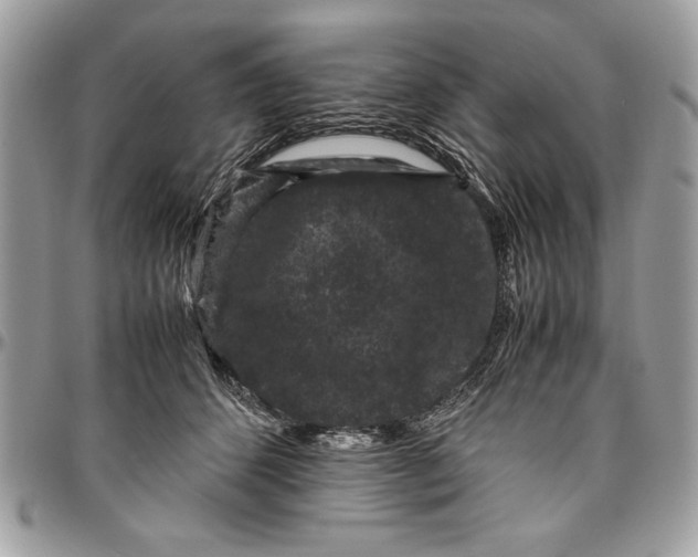 X0000094780512200712071208