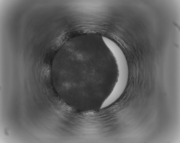 X0000094780513200712071208