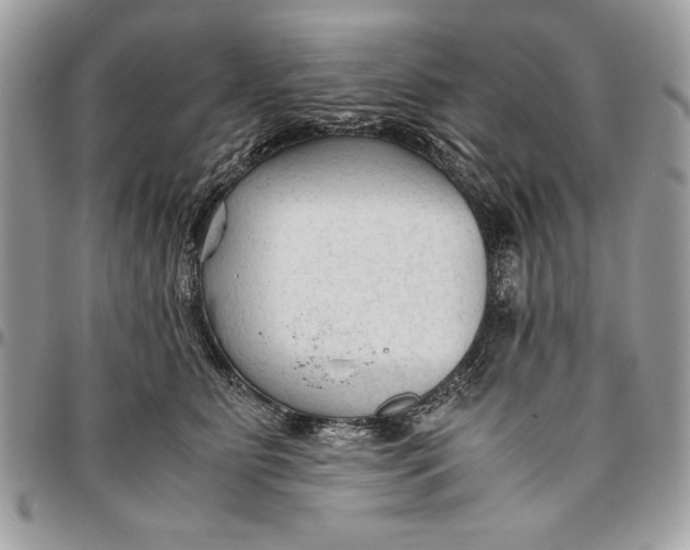 X0000094780515200712071208