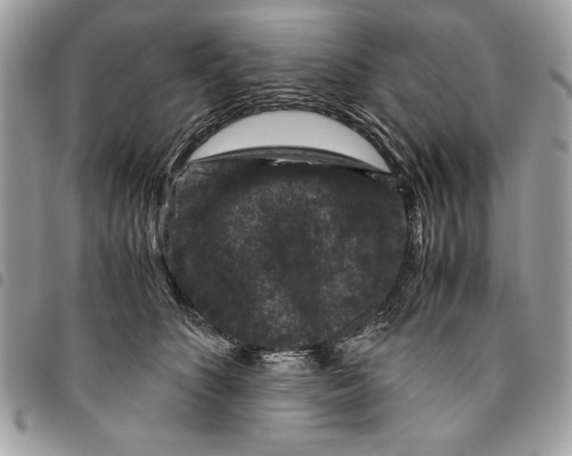 X0000094780516200712071208