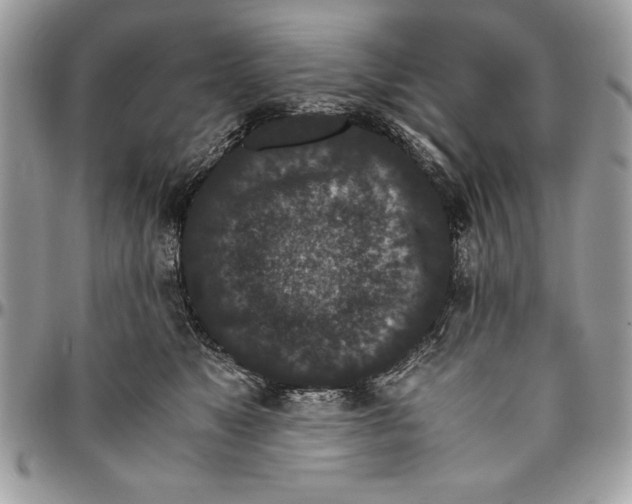 X0000094780517200712071207