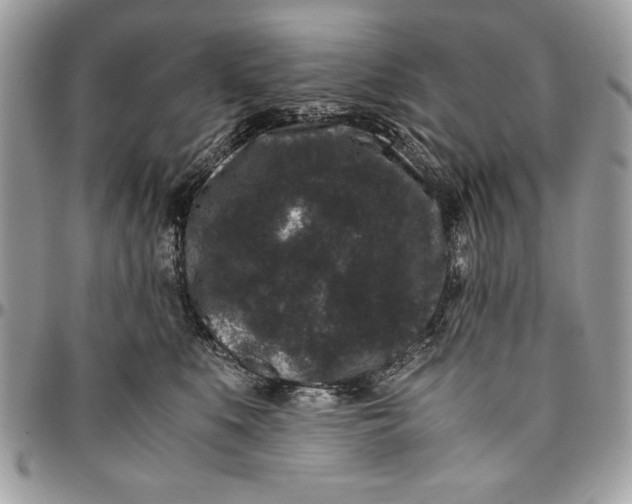 X0000094780519200712071207