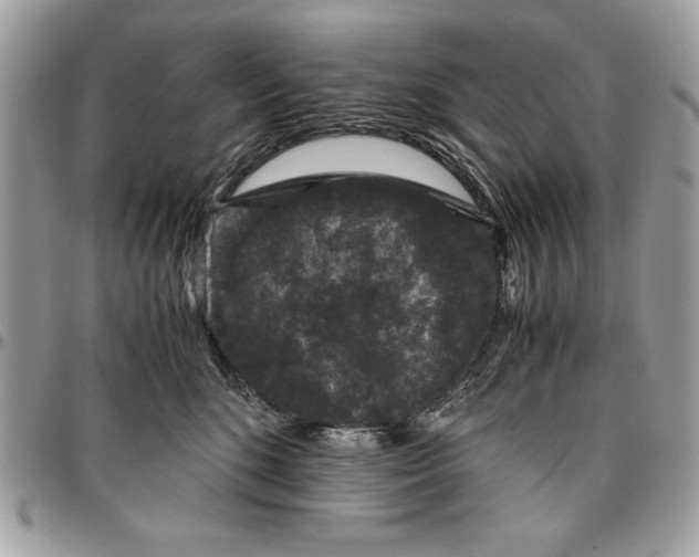 X0000094780520200712071207