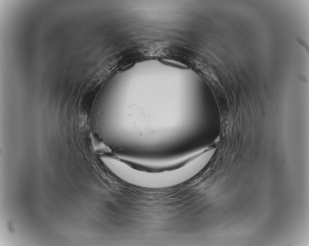 X0000094780521200712071207