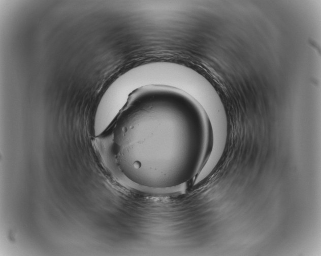 X0000094780524200712071207