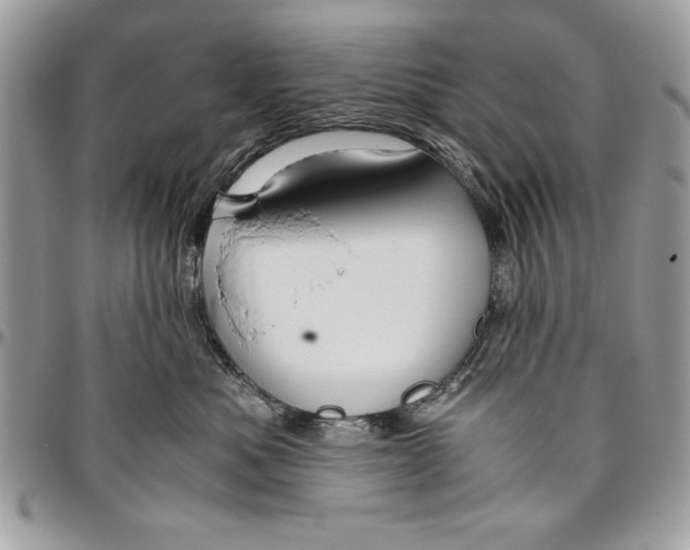 X0000094780525200712071207