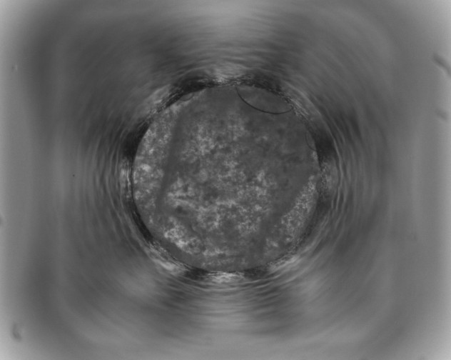 X0000094780527200712071207