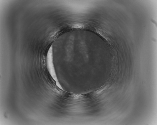 X0000094780528200712071207