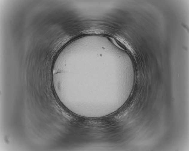 X0000094780529200712071207