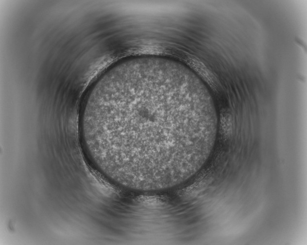 X0000094780534200712071207