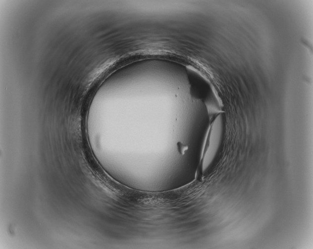 X0000094780535200712071207