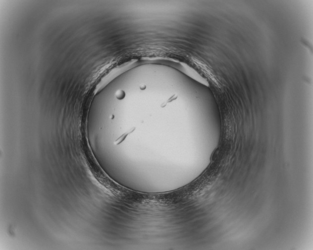 X0000094780538200712071207