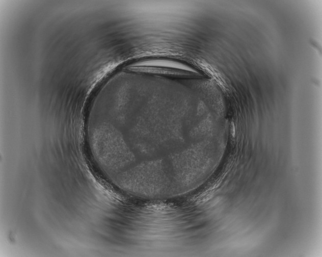 X0000094780540200712071207