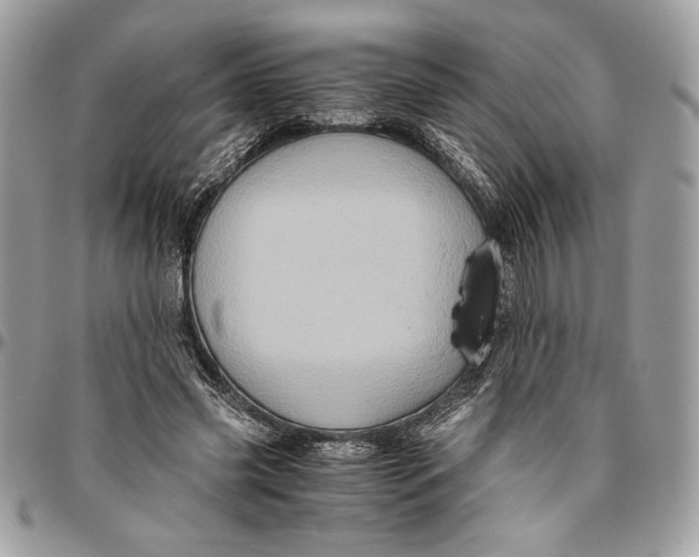 X0000094780541200712071207