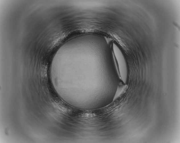 X0000094780543200712071207