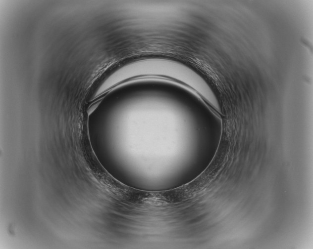 X0000094780544200712071207