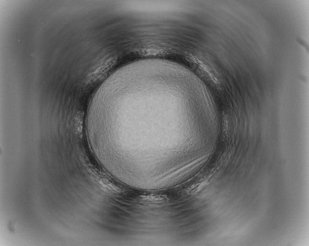 X0000094780545200712071207