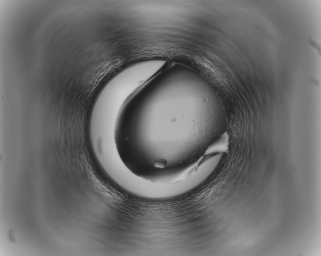 X0000094780546200712071207