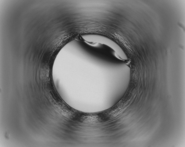 X0000094780548200712071207