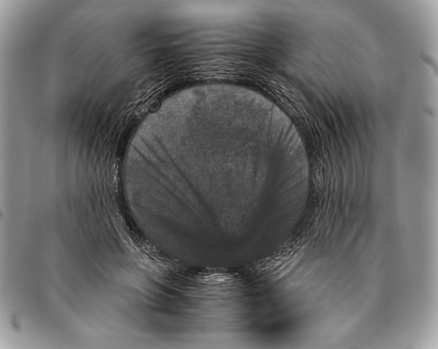 X0000094780551200712071207