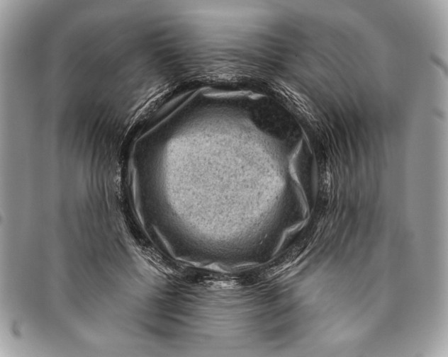 X0000094780552200712071207