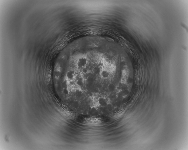 X0000094780553200712071207