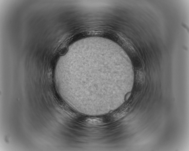 X0000094780557200712071207