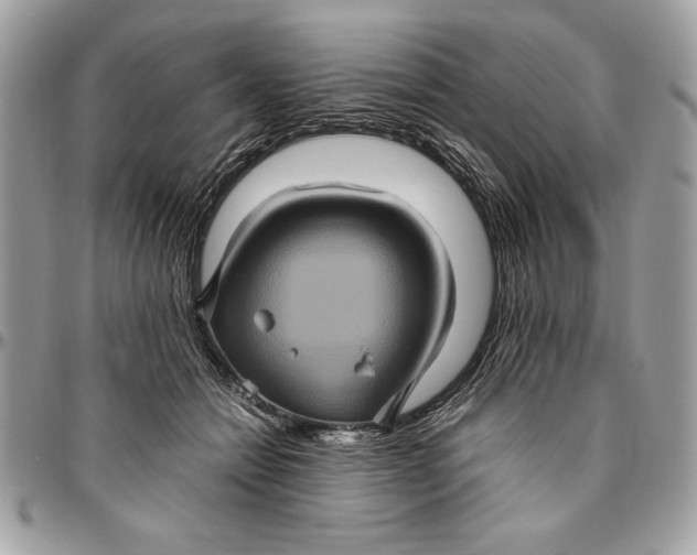 X0000094780558200712071207