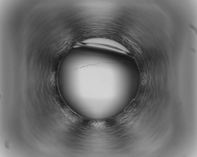 X0000094780560200712071207