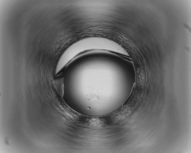 X0000094780562200712071207