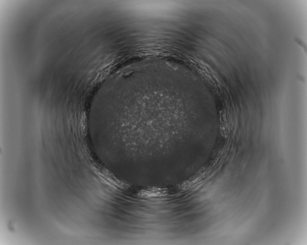 X0000094780563200712071207