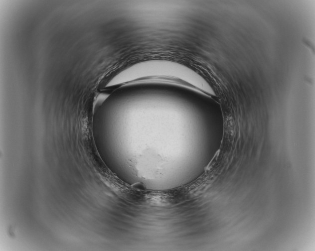 X0000094780564200712071207