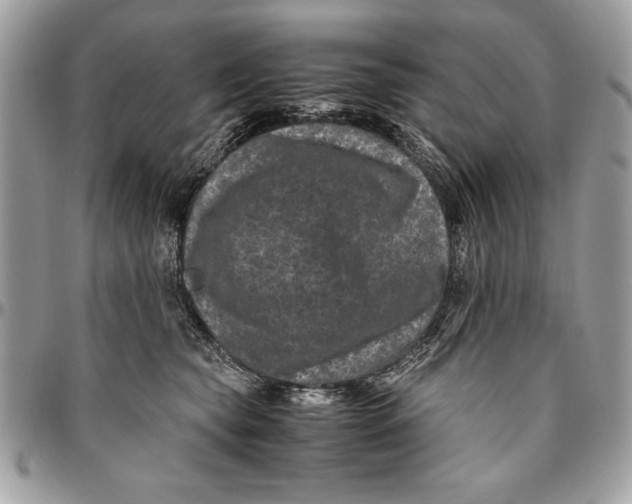 X0000094780565200712071207