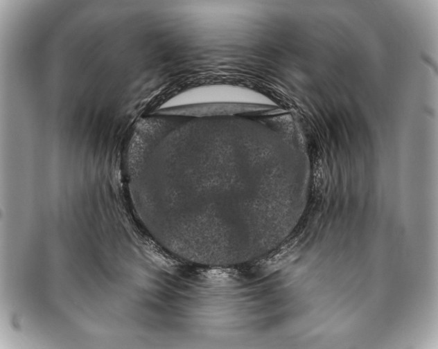 X0000094780566200712071207