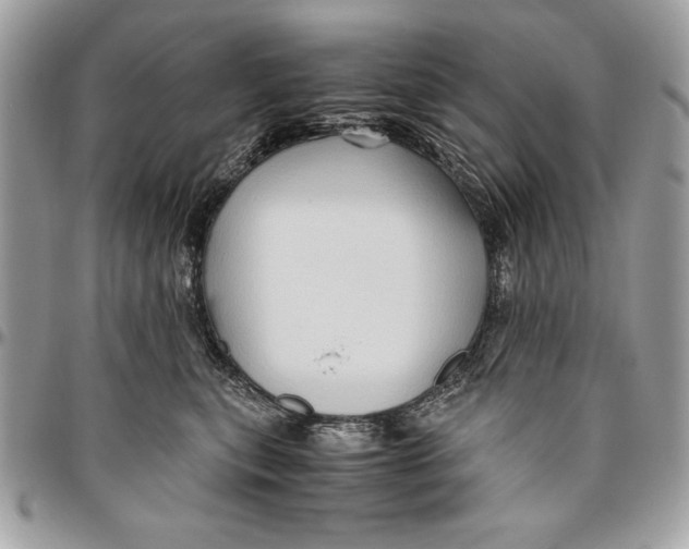 X0000094780567200712071207