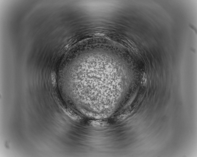 X0000094780568200712071207