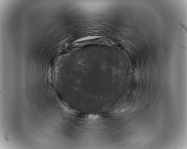 X0000094780570200712071207