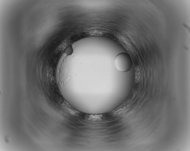 X0000094780573200712071207