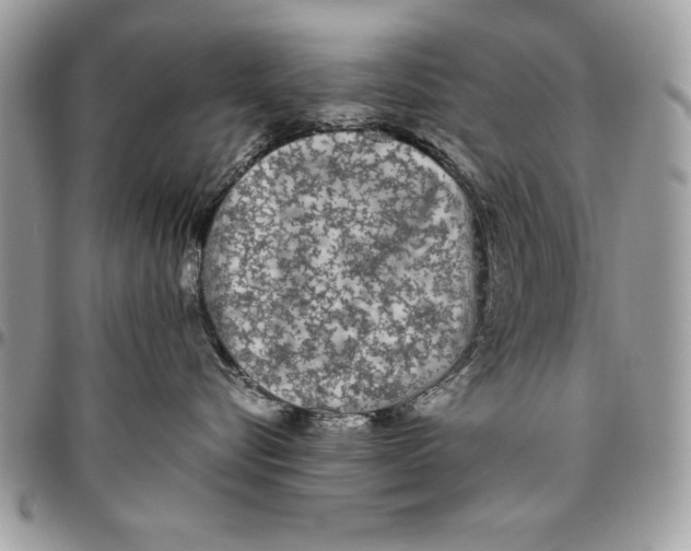 X0000094780576200712071207