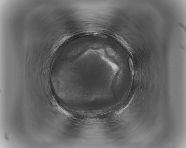 X0000094780577200712071207