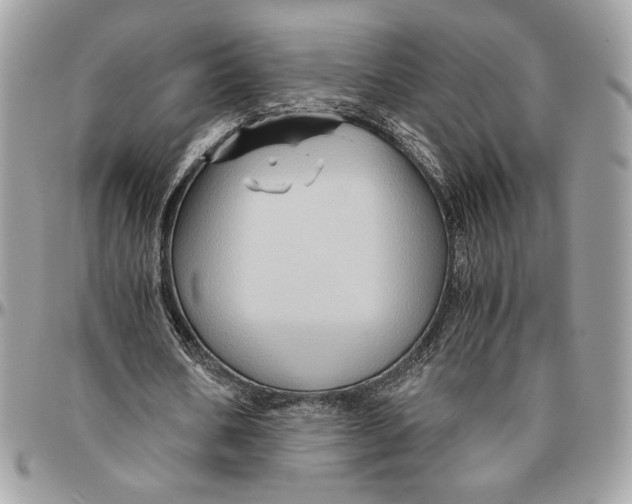 X0000094780578200712071207