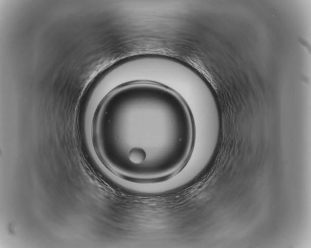 X0000094780579200712071207