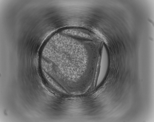 X0000094780580200712071207